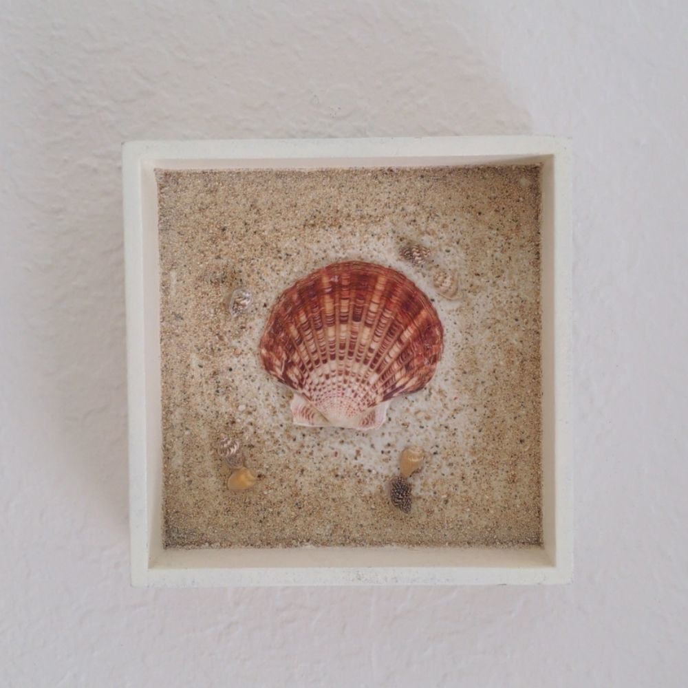 Beachy Shell Shadow Box Wall Art - Picture 2 of 2